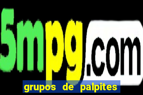 grupos de palpites de futebol whatsapp